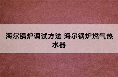 海尔锅炉调试方法 海尔锅炉燃气热水器